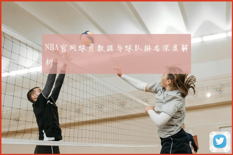 NBA官网球员数据与球队排名深度解析